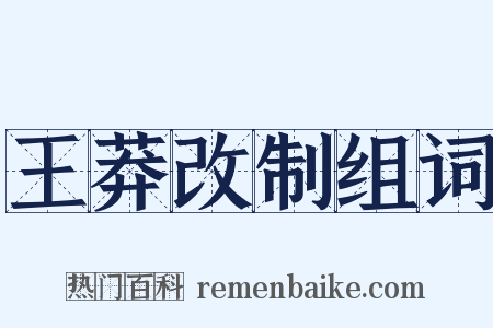 王莽改制组词是什么意思的图片